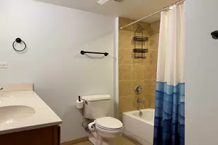1070 W 15th St, Chicago, IL 60608 - Photo 9