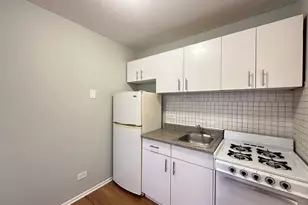 4610 N Dover St, Chicago, IL 60640 - Photo 3