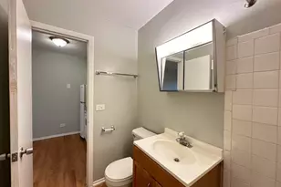 4610 N Dover St, Chicago, IL 60640 - Photo 21