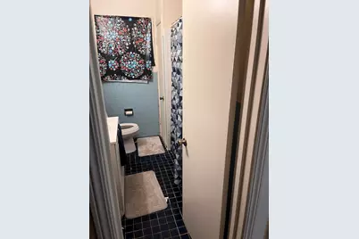 9725 S Van Vlissingen Road, Chicago, IL 60617 - Photo 5