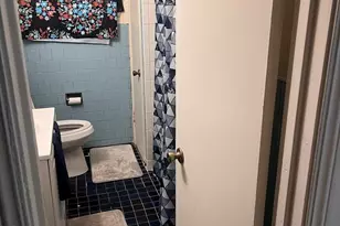 9725 S Van Vlissingen Rd, Chicago, IL 60617 - Photo 5