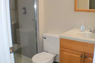 317 Woodbury Ct, Schaumburg, IL 60193 - Photo 13