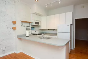 1129 N Winchester Ave, Chicago, IL 60622 - Photo 3