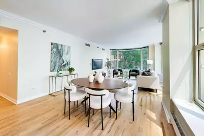 25 E Superior Street #404, Chicago, IL 60611 - Photo 9