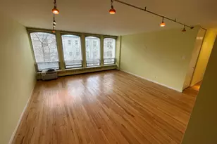 1450 E 55th Pl, Chicago, IL 60637 - Photo 3