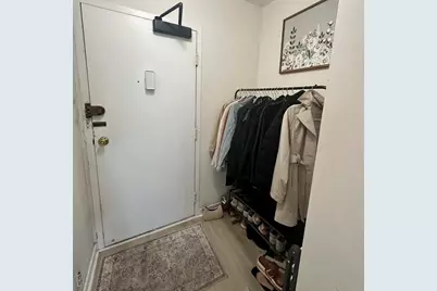 253 E Delaware Place #15E, Chicago, IL 60611 - Photo 9