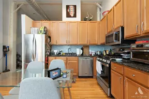 1844 S Michigan Ave, Chicago, IL 60616 - Photo 15