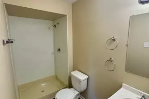 22421 Arquilla Dr, Richton Park, IL 60471 - Photo 11