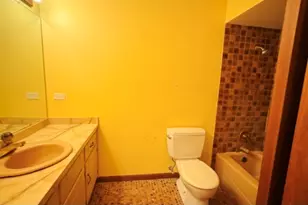 18348 Carriage Ln, Lansing, IL 60438 - Photo 11