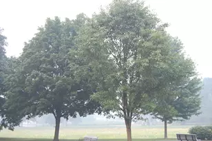 [Address not provided], Buffalo Grove, IL 60089 - Photo 13