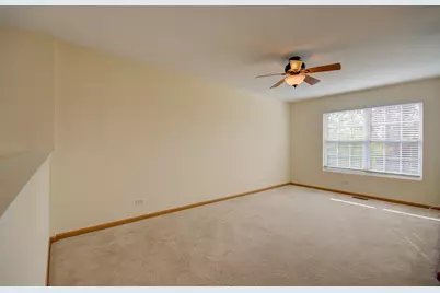 355 Grape Vine Trail #355, Oswego, IL 60543 - Photo 23