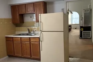 3327 S Lituanica Ave, Chicago, IL 60608 - Photo 9