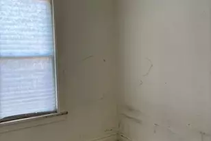 3327 S Lituanica Ave, Chicago, IL 60608 - Photo 19