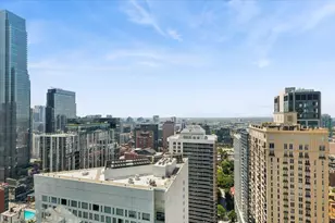 57 E Delaware Pl, Chicago, IL 60611 - Photo 9