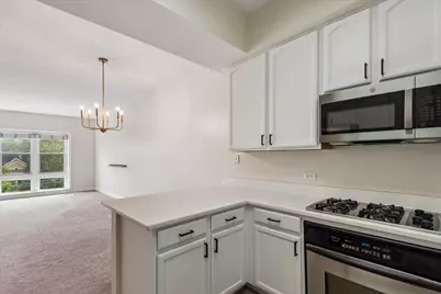 300 E Church Street #307, Libertyville, IL 60048 - Photo 3