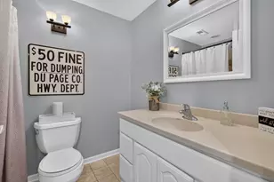 25439 Bower Ct, Plainfield, IL 60585 - Photo 29