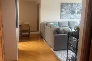 11 S Wille St, Mount Prospect, IL 60056 - Photo 13