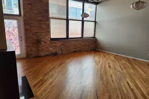 1601 S Indiana Ave, Chicago, IL 60616 - Photo 7