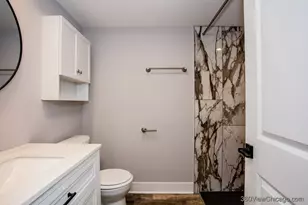 8126 S Ada St, Chicago, IL 60620 - Photo 49