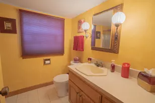 10524 S Michael Dr, Palos Hills, IL 60465 - Photo 23
