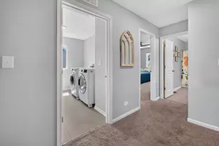 162 Hibiscus Ln, Elgin, IL 60124 - Photo 25