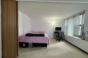 400 E Randolph St, Chicago, IL 60601 - Photo 13