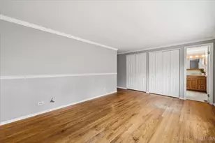 427 Chopin Ct, Schaumburg, IL 60193 - Photo 19