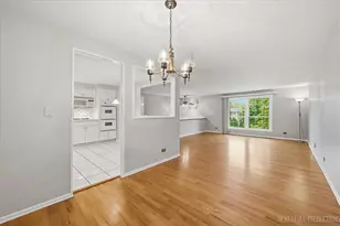 427 Chopin Ct, Schaumburg, IL 60193 - Photo 13