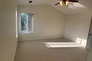 2420 Sisters Ct, Naperville, IL 60564 - Photo 19
