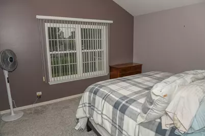 910 Carlyle Drive, New Lenox, IL 60451 - Photo 13
