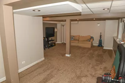 910 Carlyle Drive, New Lenox, IL 60451 - Photo 21