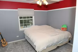 910 Carlyle Dr, New Lenox, IL 60451 - Photo 17
