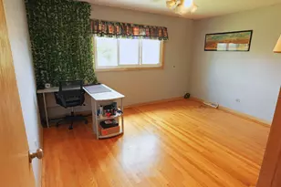 10313 S Karlov Ave, Oak Lawn, IL 60453 - Photo 11