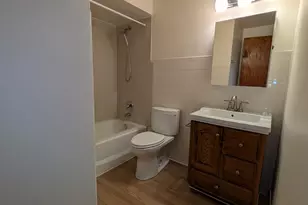 4343 W 63rd St, Chicago, IL 60629 - Photo 9
