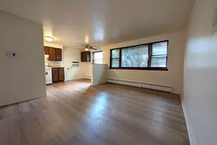 4343 W 63rd St, Chicago, IL 60629 - Photo 3