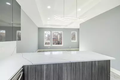 2720 W 23rd Street #1, Chicago, IL 60608 - Photo 5