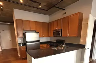 354 River St, Lemont, IL 60439 - Photo 9