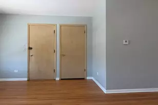 7323 W Higgins Ave, Chicago, IL 60656 - Photo 3