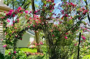 997 S Hampton Ct, Aurora, IL 60506 - Photo 57