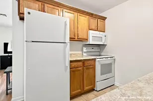 7323 Chevy Chase Ct, Fox Lake, IL 60020 - Photo 9