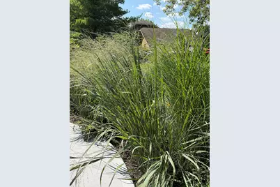 11901 W 118th Street, Palos Park, IL 60464 - Photo 69