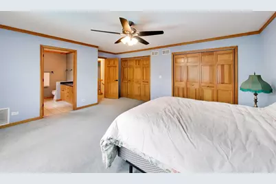 24902 W Ambrose Road, Plainfield, IL 60585 - Photo 19