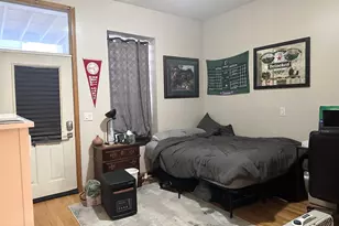 3311 N Seminary Ave, Chicago, IL 60657 - Photo 11