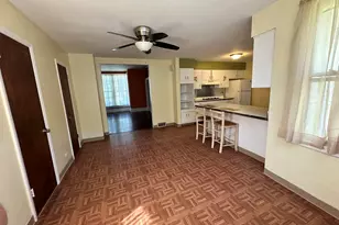 419-421 N Spring St, Elgin, IL 60120 - Photo 19