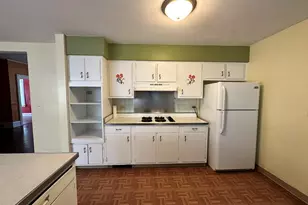 419-421 N Spring St, Elgin, IL 60120 - Photo 15