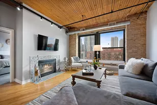 411 W Ontario St, Chicago, IL 60654 - Photo 7