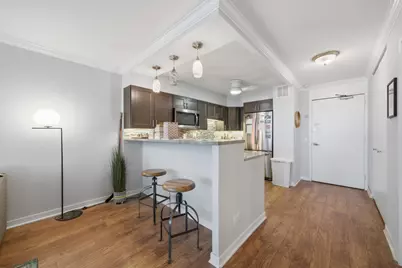 1560 N Sandburg Terrace #509J, Chicago, IL 60610 - Photo 9