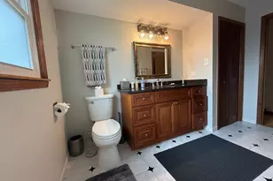 10507 S Terry Dr, Palos Hills, IL 60465 - Photo 19