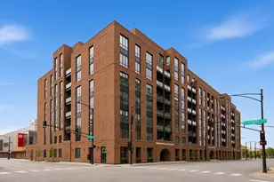 305 S Racine Ave, Chicago, IL 60607 - Photo 31