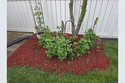 620 E 10th Street, Lockport, IL 60441 - Photo 29